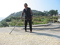 老人家的智慧,不添加人工藥劑將地瓜改頭換面,延長保存時間。(圖/文:林冰芳)