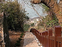 　橋仔田元帥廟到環島北路步道完工，民眾遊客體驗橋仔不同角度之美。（圖／文：陳鵬雄）