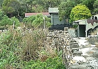 　全村一起來熱鬧！（圖與文：張登傑、陳樂團）