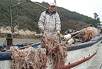 　全村一起來熱鬧！（圖與文：張登傑、陳樂團）
