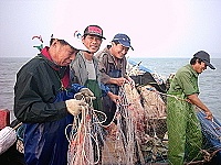 　全村一起來熱鬧！（圖與文：張登傑、陳樂團）