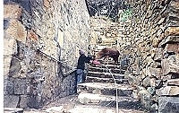 你可以再靠近一點／圖與文：陳鵬雄