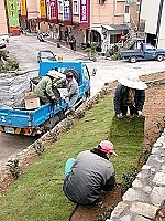 建設局出動人馬進行馬祖村及主要道路綠美化工作,為黃土換新裝。(圖/文:曹重偉)