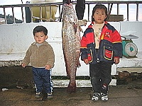 　二十九斤的大鮸魚相當於一個五歲孩子的身高。（圖／文：林冰芳）