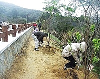 全村一起來熱鬧!(圖與文:張登傑、陳樂團)
