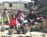 全村一起來熱鬧!(圖與文:張登傑、陳樂團)