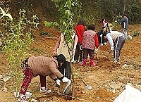 　津沙社區發展協會舉辦「社區配合植樹綠美化—綠意盎然我的家」活動，以行動「森」愛津沙家園。（圖／文：張登傑）
