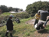 　全村一起來熱鬧！（圖與文：張登傑、陳樂團）
