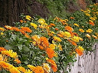 　全村一起來熱鬧！（圖與文：張登傑、陳樂團）