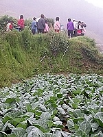 　全村一起來熱鬧！（圖與文：張登傑、陳樂團）