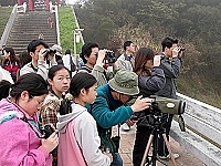 　全村一起來熱鬧！（圖與文：張登傑、陳樂團）