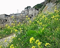 全村一起來熱鬧!(圖與文:張登傑、陳樂團)