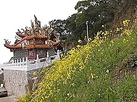全村一起來熱鬧!(圖與文:張登傑、陳樂團)