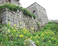 全村一起來熱鬧!(圖與文:張登傑、陳樂團)