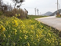 全村一起來熱鬧!(圖與文:張登傑、陳樂團)