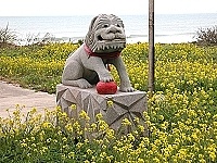全村一起來熱鬧!(圖與文:張登傑、陳樂團)