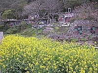 全村一起來熱鬧!(圖與文:張登傑、陳樂團)