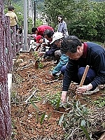 　山隴社區發展協會理事長陳書建邀陳寶利及多位鄉親一起動手植栽，展開蓮花岩的綠美化工作。（圖／文：曹重偉）