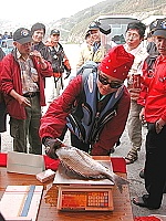 2005觀光盃磯釣大賽紀錄／圖與文：陳其敏