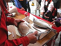 2005觀光盃磯釣大賽紀錄／圖與文：陳其敏