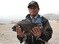 2005觀光盃磯釣大賽紀錄／圖與文：陳其敏