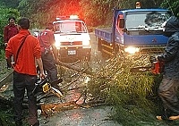 　昨天下午地區刮起了一陣罕見的「怪風」，六級強風把路樹吹得應聲折斷。（圖／文：張登傑）