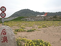 　花開不富貴（圖與文：陳鵬雄）