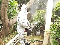 馬防部實施夏季衛生消毒（圖與文：萬力維）