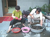 　美味淡菜現在吃正是時候。（圖／文：林冰芳）