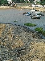 　強颱海棠即將來襲，有民眾擔心已傾倒的大量廢土，可能因豪雨沖刷而掩蓋破壞了清水溼地。工務局表示，土方是后澳澳口潮間帶海沙回填，應並不影響清水澳口生態。（圖／文：張登傑）