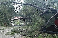 　全村一起來熱鬧！（圖與文：張登傑、陳樂團）