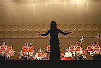　台北市客家鄉音國樂團「琴韻飄飄」國樂演奏會，讓民眾享受一個古樂飄揚的週末浪漫夏夜。（圖／文：張登傑）