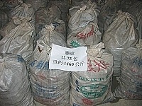 　海巡署馬祖第十一巡防區一舉查獲大陸漁民八人非法上岸採貝，移送法辦。（圖：海巡署馬祖第十一巡防區提供）