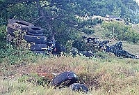 　全村一起來熱鬧！（圖與文：張登傑、陳樂團）