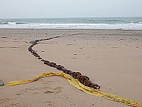 &#22338;里沙灘海纜因為巨浪淘沙而全部裸露。（圖／文：陳鵬雄）