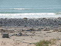 　經過兩個颱風之後，&#22338;里碎石裸露的情況更加嚴重。（圖／文：陳鵬雄）
