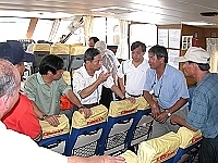 　為確保地區客運船隻安全設施的齊備，基隆港務局長蕭丁訓（中）率員來馬檢查。（圖／文：曹重偉）