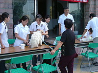 　犬貓注射疫苗巡迴義診到莒光。（圖／文：陳樂團）