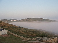 　朦朧美景。（圖與文：林冰芳）