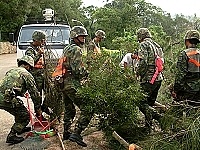 　颱風過後，國軍弟兄出動清理環境，圖為混砲營弟兄協助地區處理道路殘枝落葉情形。（圖／文：曹重偉）
