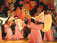   二○○五中秋「鄉音鄉情」戲曲歌舞表演粉墨登場。（圖／文：陳鵬雄、林冰芳、陳樂團）