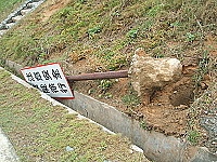 　擋不住的強風，連警告牌都被連根拔起。（圖／文：林冰芳）
