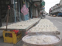 防禽總動員。（圖／文：陳鵬雄）