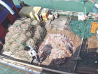 　連江縣政府昨日上午展開首波的出海沒收大陸漁網行動。（圖／文：張登傑）