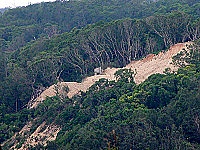 　山河變色！馬管處後方山壁遭開挖，原本濃密樹林遭到大肆破壞，形成大地的傷口。（圖／文：曹重偉）