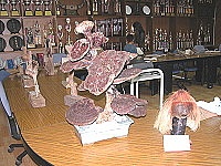 　中山國中漂流木持續展出，校方歡迎鄉親隨時前往觀賞。（圖／文：陳鵬雄）