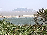 混水無魚／圖與文：陳鵬雄