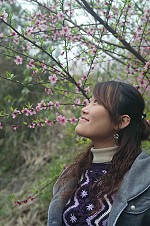 　春風吹起，地區沿路的桃花、李花、杏花、山櫻花目前美麗盛開，讓有海上桃花源之稱的馬祖更有看頭。（圖／文：張登傑）