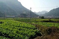 　全村一起來熱鬧！（圖與文：張登傑、陳樂團）