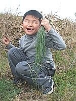 　趁著週休二日帶孩子尋找麥蔥蹤影，除了享受美食還可以看到孩子臉上的成就感。（圖／文：林冰芳）